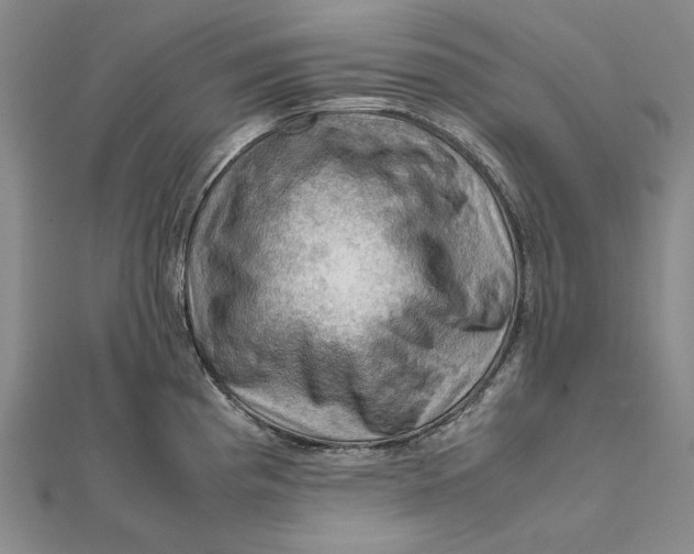 X0000112011193200908241448