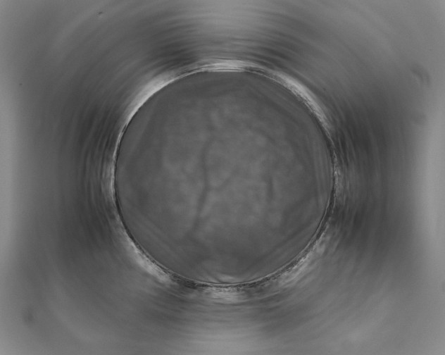 X0000112011194200908241448