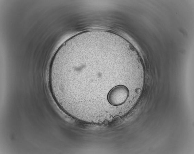 X0000112011195200908241448