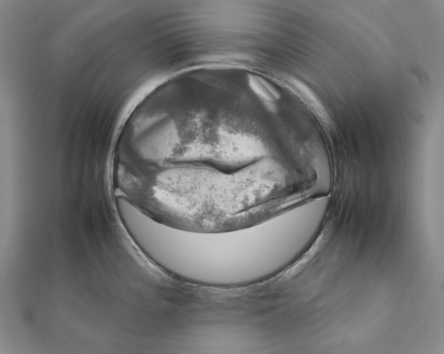 X0000112011196200908241448