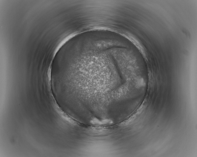 X0000112011198200908241448