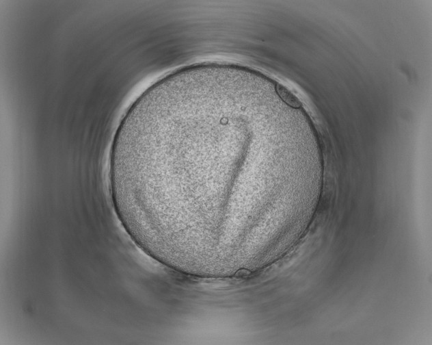 X0000112011199200908241448