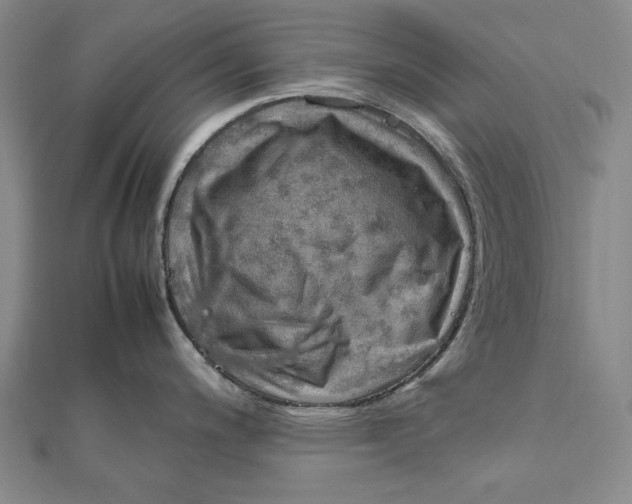 X0000112011200200908241448