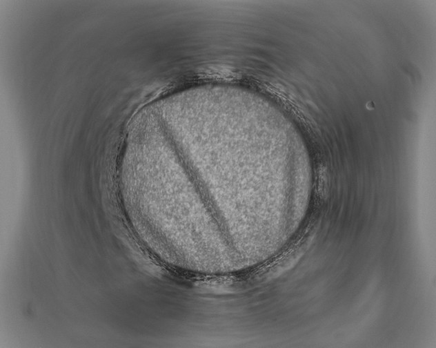 X0000112011201200908241447