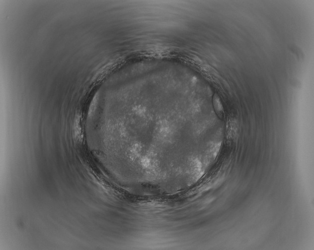 X0000112011202200908241447