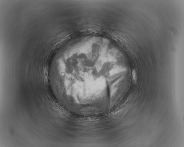 X0000112011203200908241447