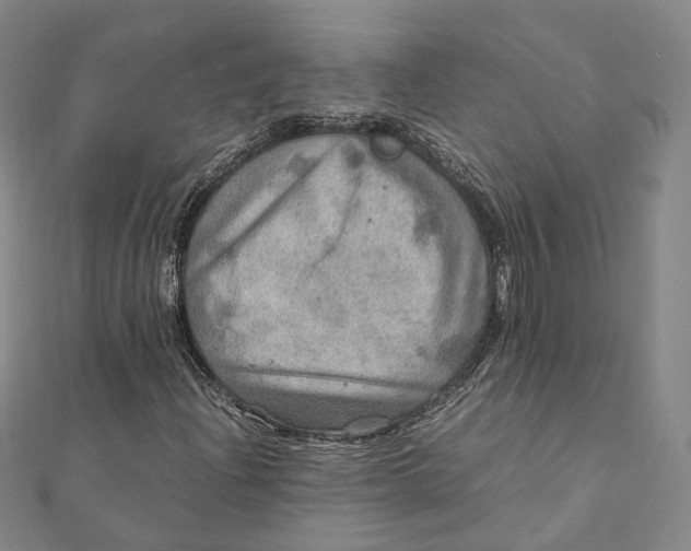 X0000112011204200908241447