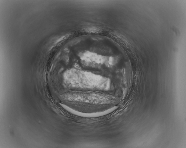 X0000112011205200908241447