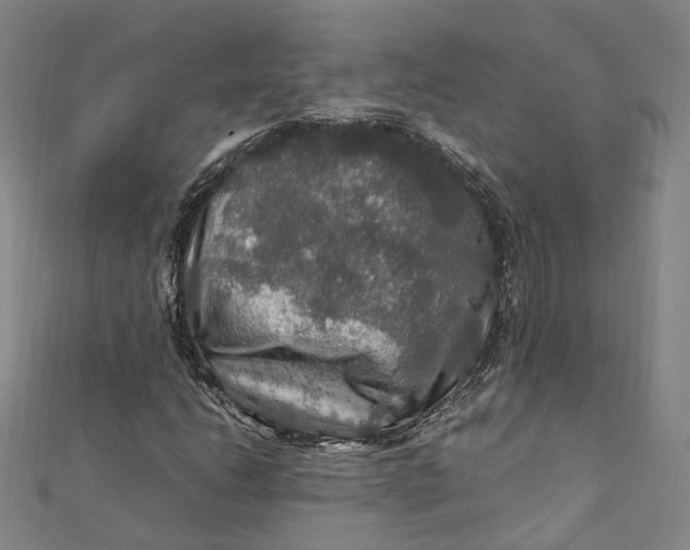 X0000112011206200908241447