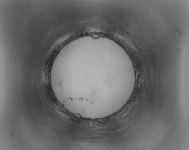 X0000112011207200908241447