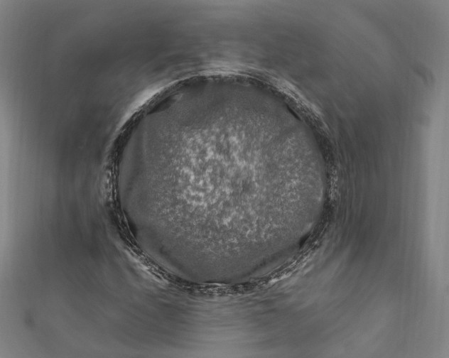 X0000112011208200908241447