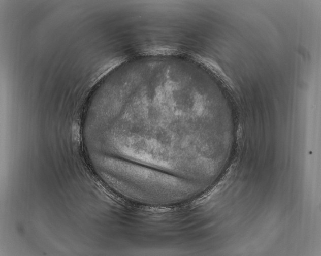 X0000112011209200908241447