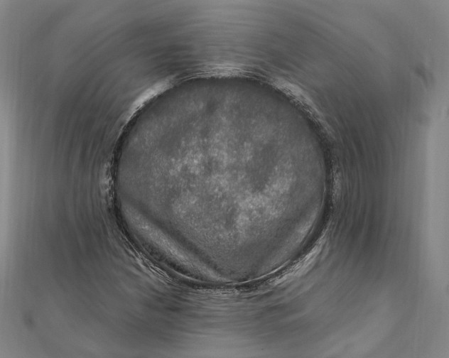 X0000112011210200908241447