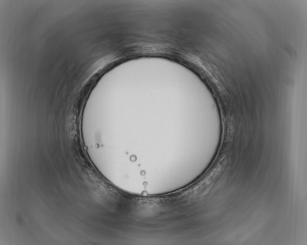 X0000112011211200908241447