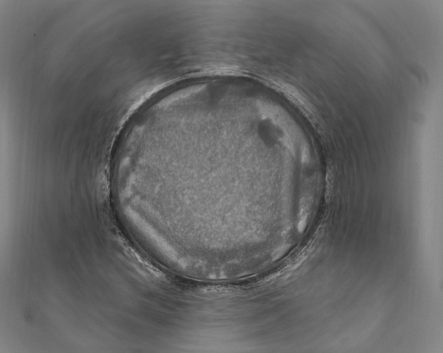 X0000112011212200908241447