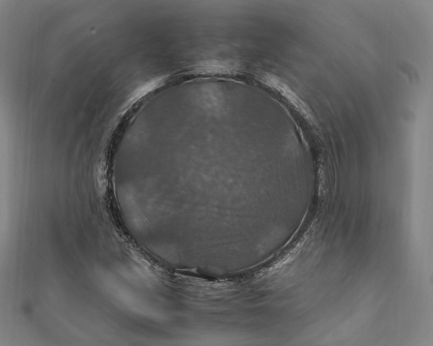 X0000112011213200908241447