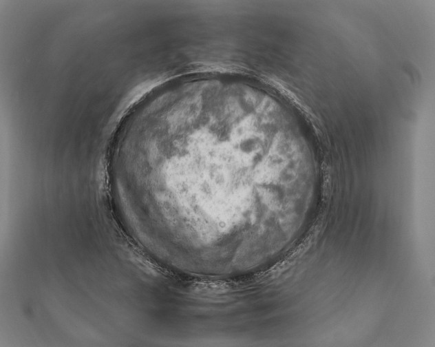 X0000112011215200908241447