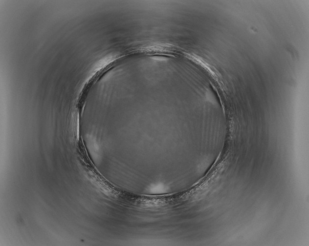 X0000112011219200908241447