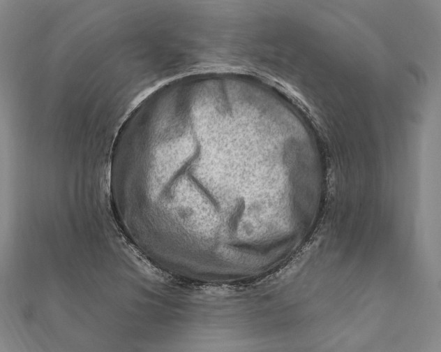 X0000112011220200908241447