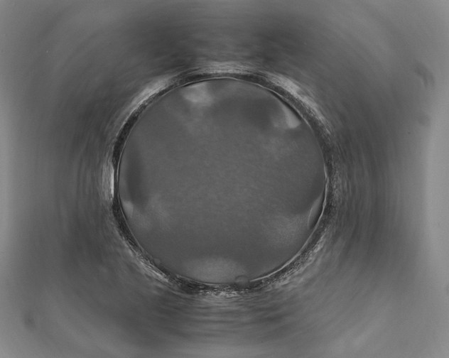 X0000112011221200908241447