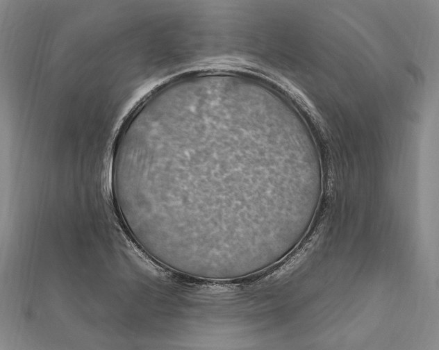 X0000112011224200908241447