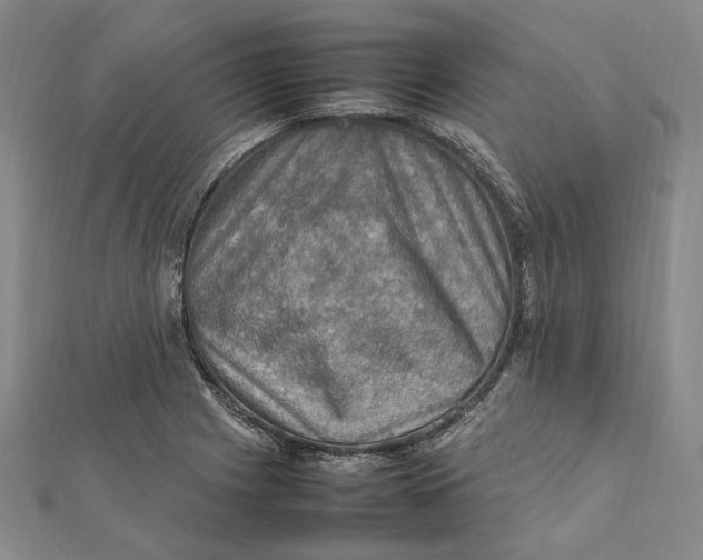 X0000112011225200908241447