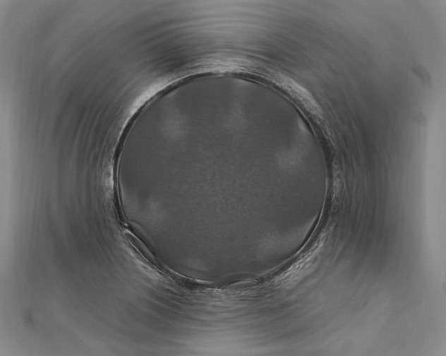 X0000112011226200908241447