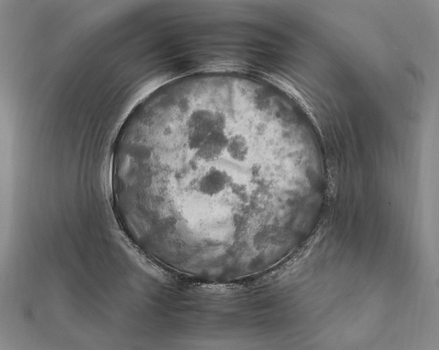 X0000112011227200908241447