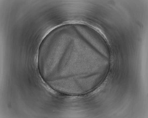 X0000112011228200908241447