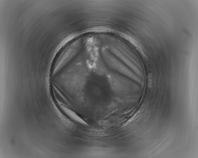 X0000112011229200908241447