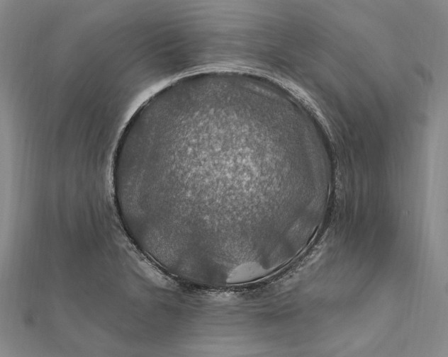 X0000112011230200908241447