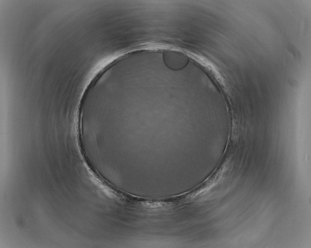 X0000112011231200908241447