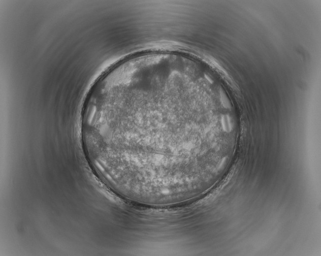 X0000112011232200908241447