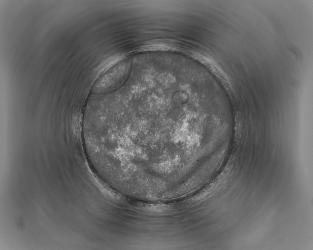 X0000112011233200908241447