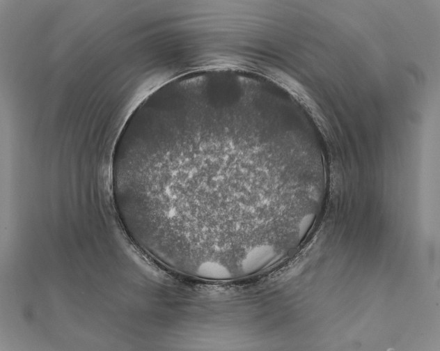 X0000112011234200908241447