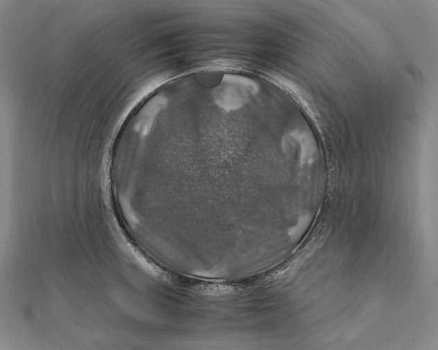 X0000112011235200908241447