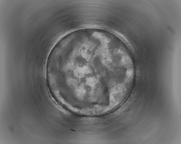 X0000112011236200908241447