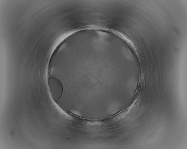 X0000112011239200908241448