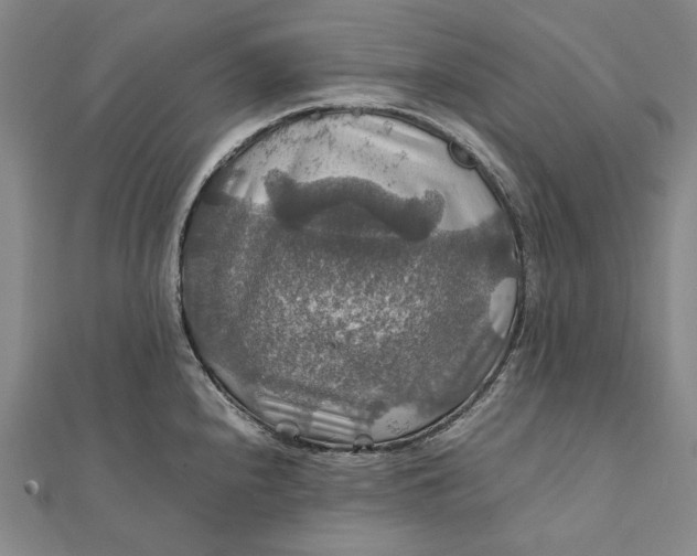 X0000112011240200908241448