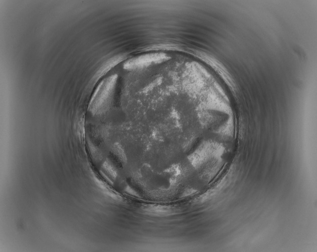 X0000112011241200908241448