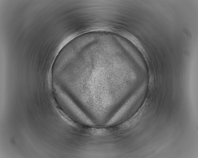 X0000112011242200908241448