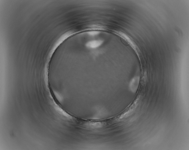 X0000112011243200908241448