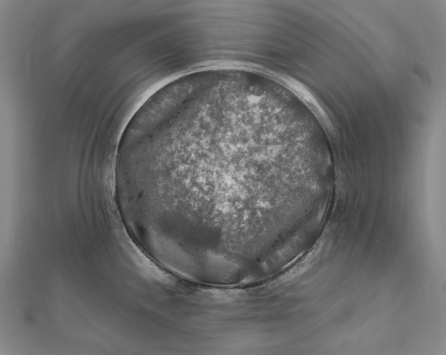 X0000112011244200908241448