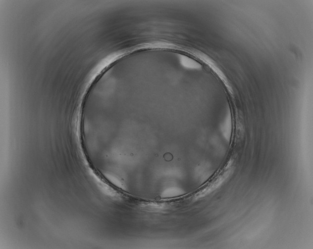 X0000112011245200908241448