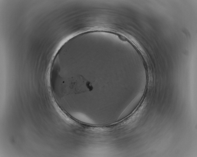 X0000112011246200908241448