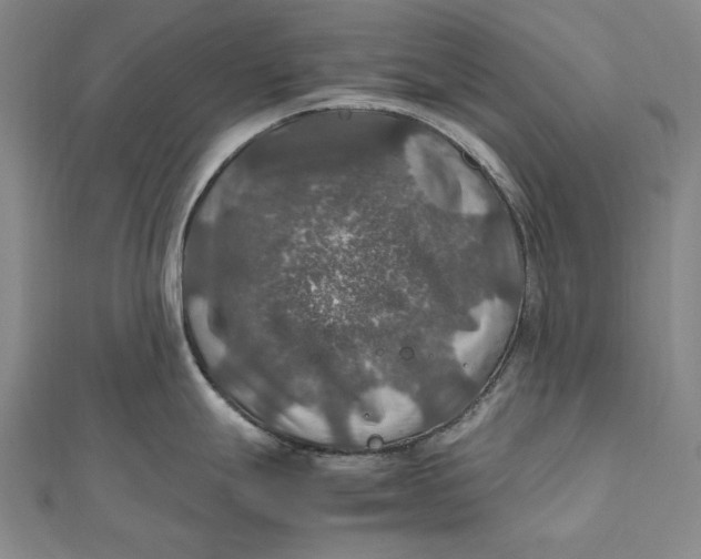 X0000112011247200908241448