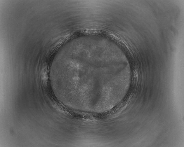 X0000112011250200908241447