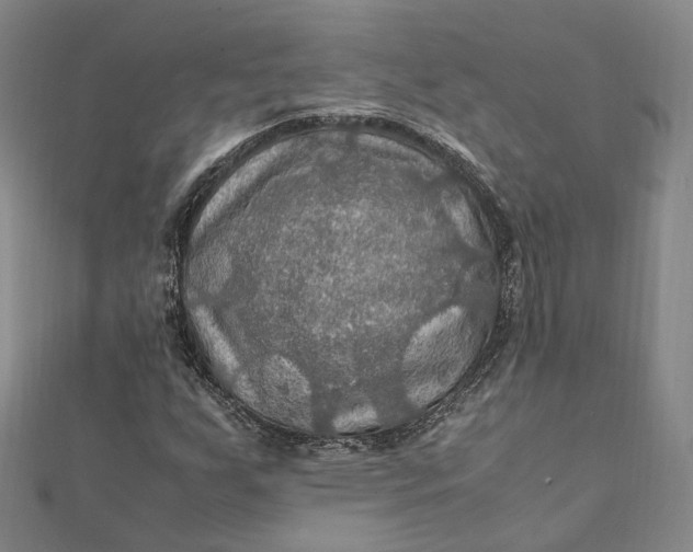 X0000112011255200908241447