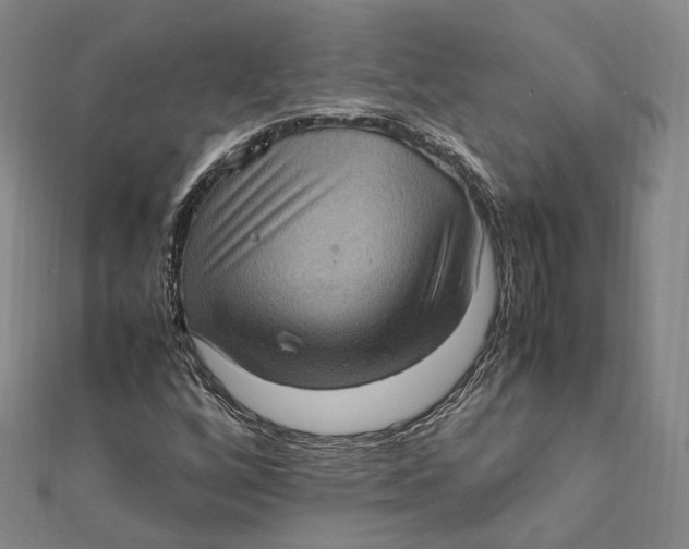 X0000112011256200908241447