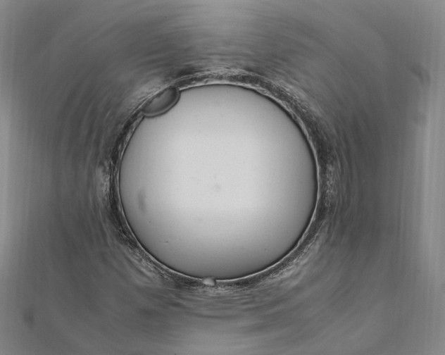 X0000112011257200908241447